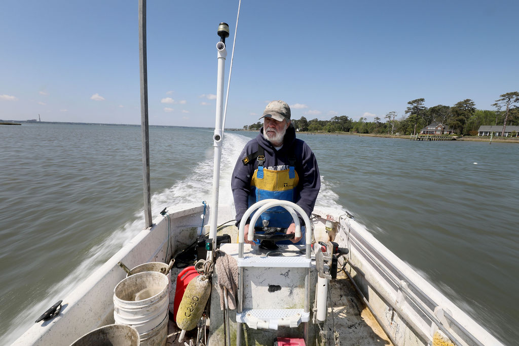 Tommy Leggett, owner of York River Oysters, heads down the York River from collecting oysters for a customer order Friday April 17, 2020.